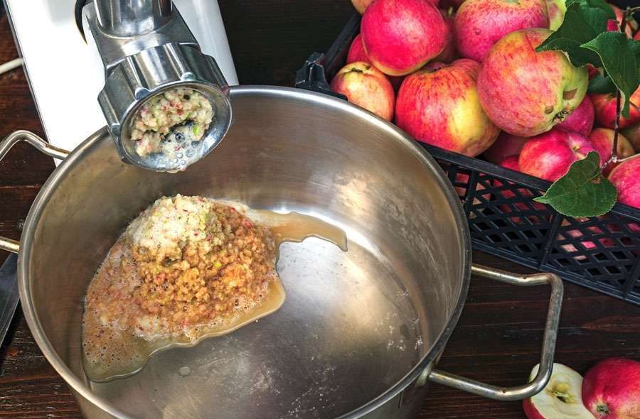 Рецепт приготовления яблочного сидра в домашних условиях.
