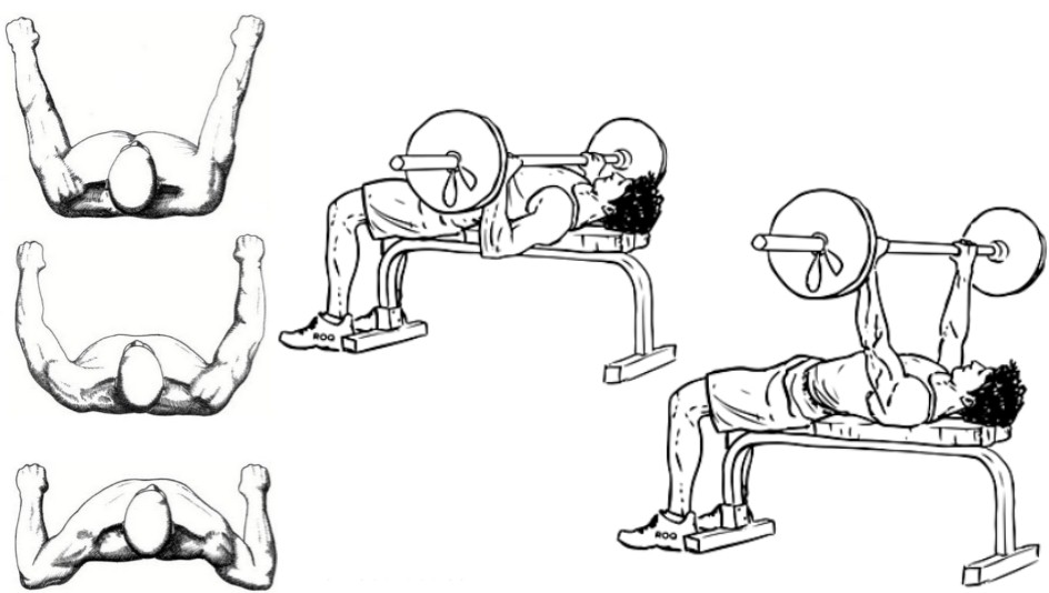 базовые упражнения для набора мышечной массы
